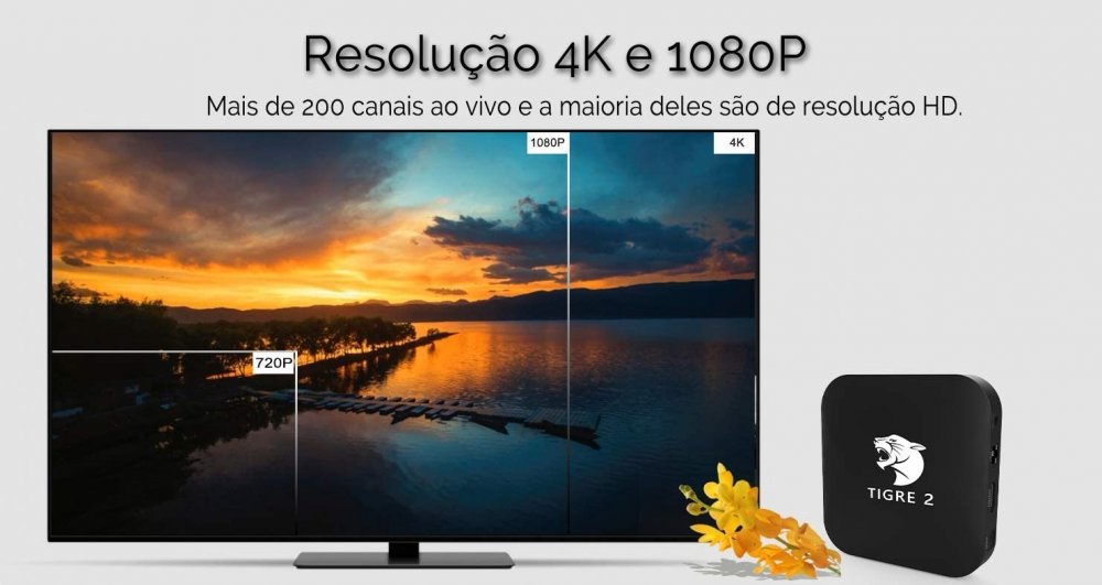 Tigre 2 Brazil IPTV TV Box Brasil IPTV Brazilian Box 4k More Then 300 Live Brazilian TV Channels 10000+Movies Show